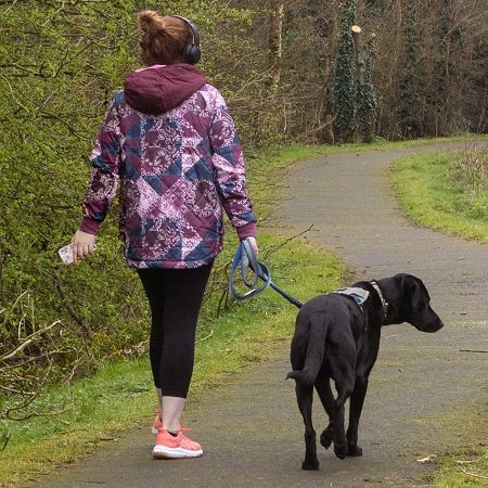 Woman walking her dog outdoors while listening to audio on her headphones