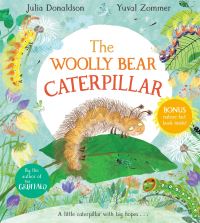 The Woolly Bear Caterpillar By Julia Donaldson and Yuval Zommer