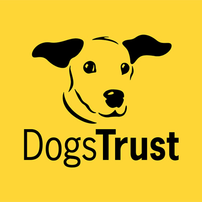 Join the Dogs Trust Summer Workshops and Community Hub at Your Local Library!