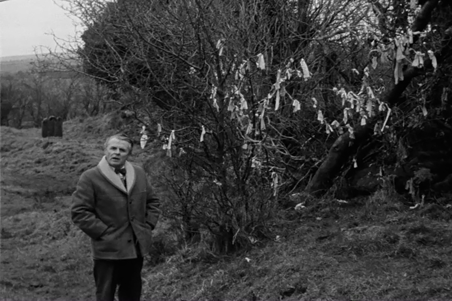 From the Digital Film Archive Charlie and a Rag Tree