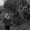 Mystery, History and Folklore at Local Libraries this June