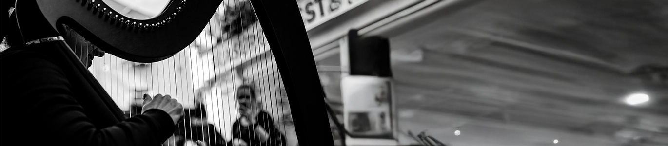 A photo of a musician playing the harp