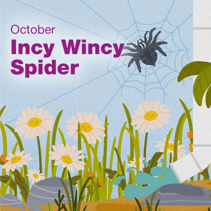 October Incy Wincy Spider