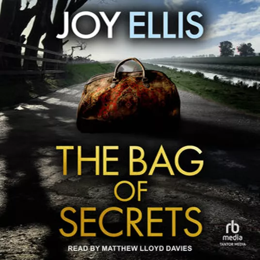 The Bag Of Secrets By Joy Ellis
