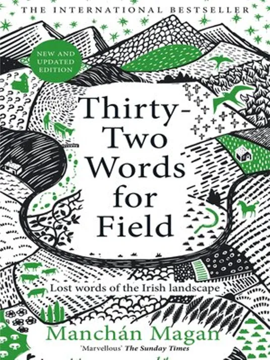 Book cover image of Thirty Two Words For Field By Manchan Magan