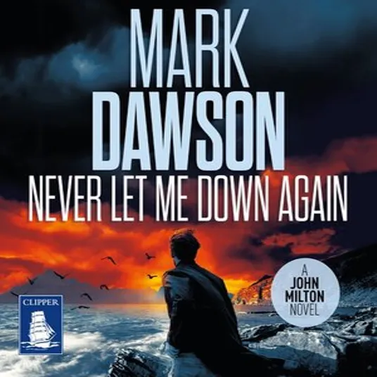 Book cover image of Never Let Me Down Again by Mark Dawson