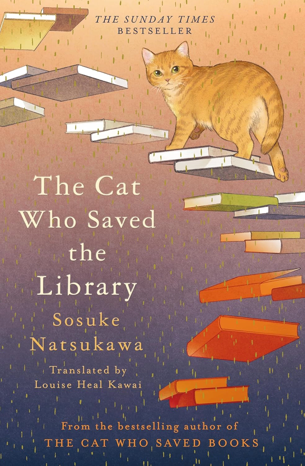 Book cover of The Cat Who Saved the Library by Sosuke Natsukawa