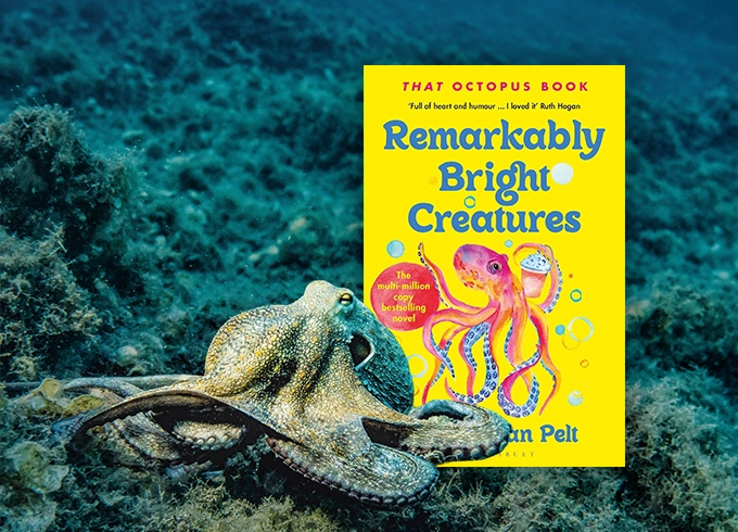 Feature tile showing Remarkably Bright Creatures by Shelby Van Pelt