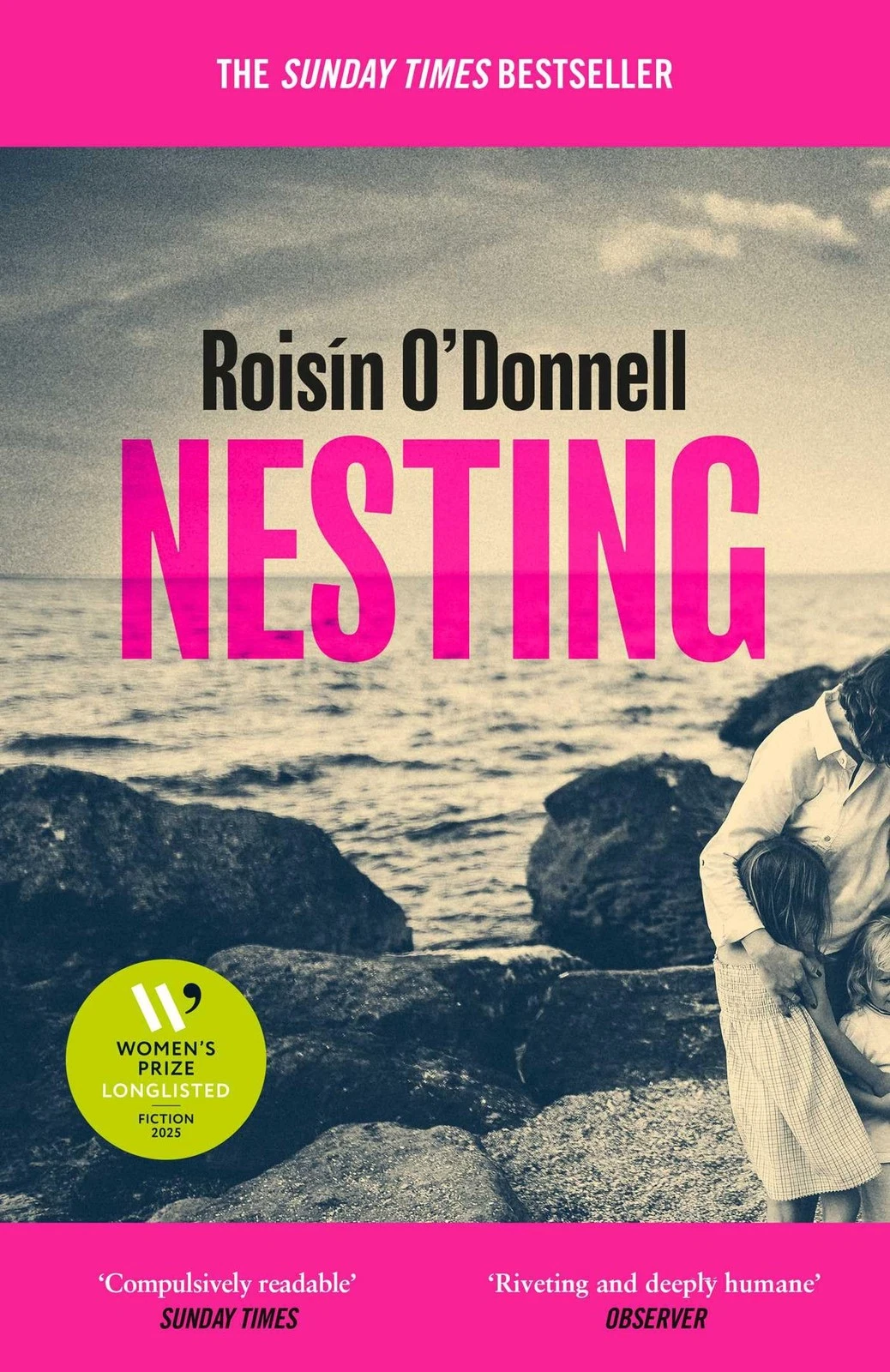 Book cover of Nesting by Roisin O'Donnell