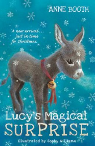 Lucy's Magical Surprise By Anne Booth