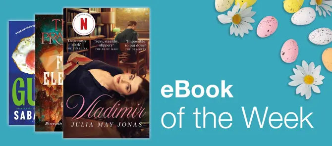 Small banner showing e-Book of the Week which is Vladimir by Julia May Jonas