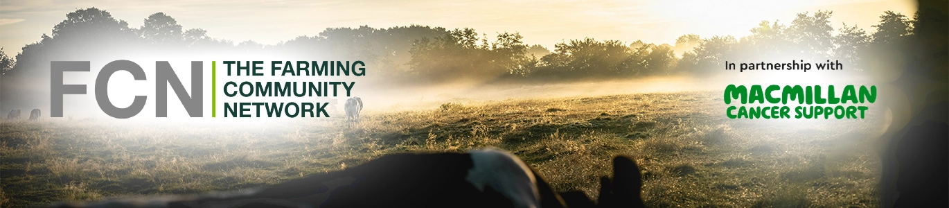 An image of cows in a field; this relates to The Farming Community Network in association with Macmillan Cancer Support