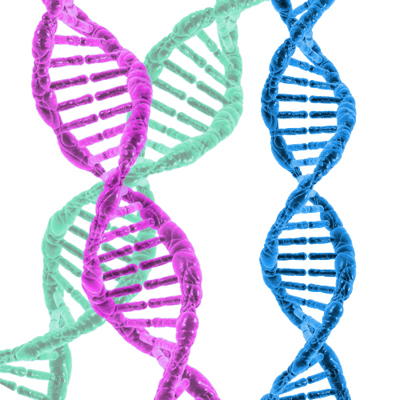 Beginner’s Guide to DNA to take place at Lisburn City Library