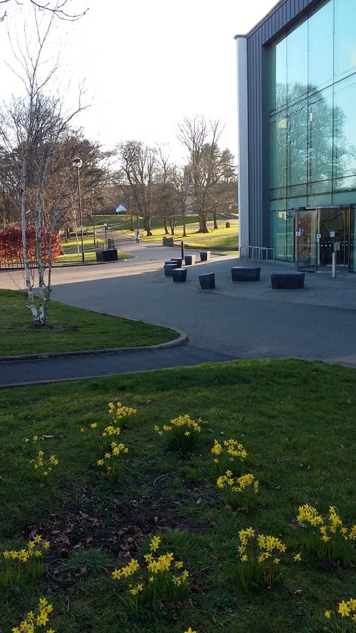 Bangor Carnegie Library entrance and outside area