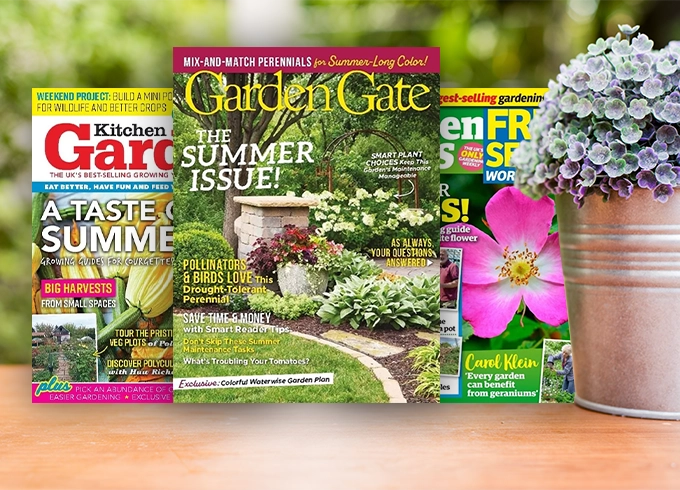 Feature tile 6 - borrow gardening e-Magazines from Libraries NI
