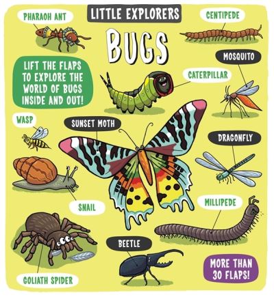 Book cover image of Bugs