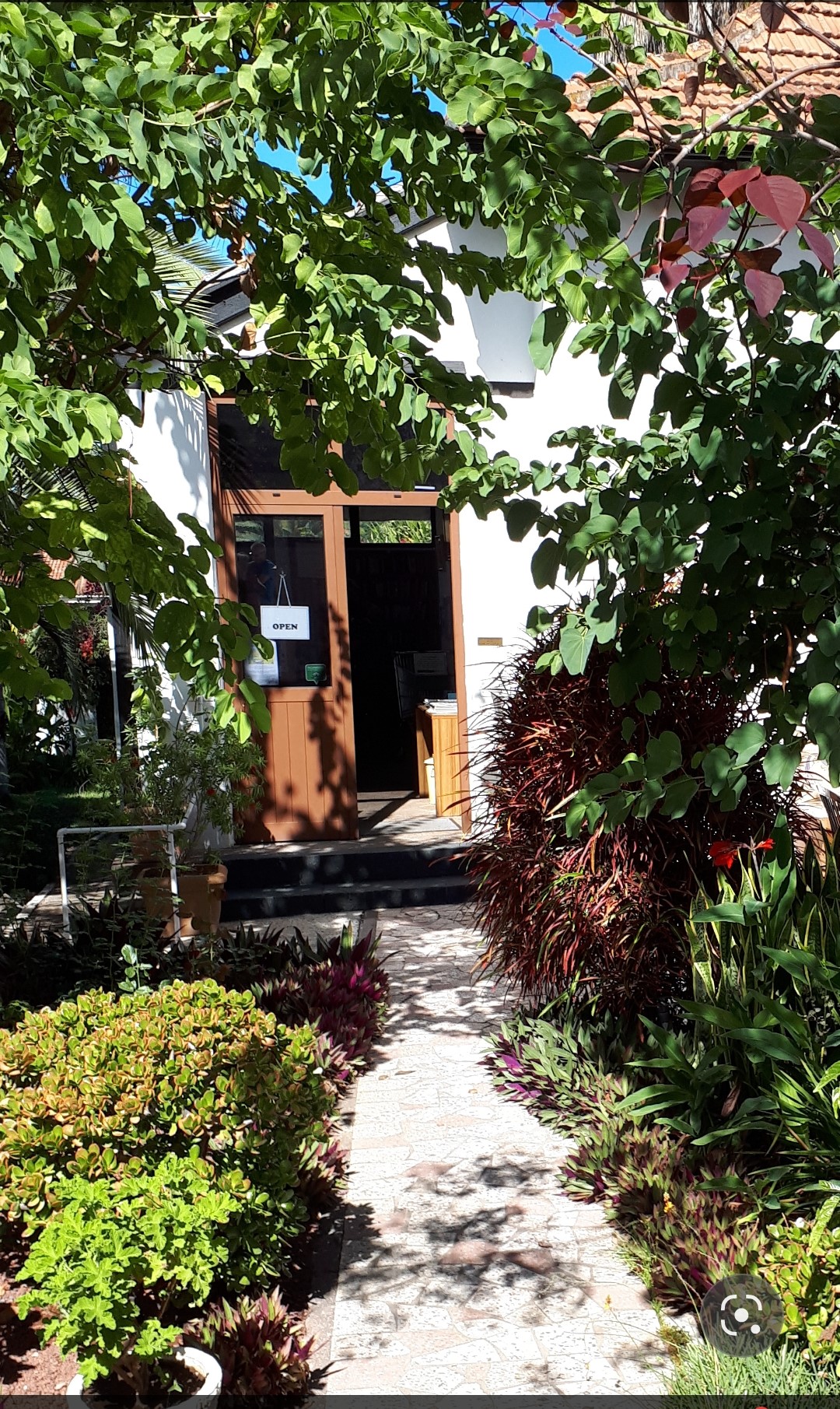 A photo of the exterior / entrance to a library in Tenerife