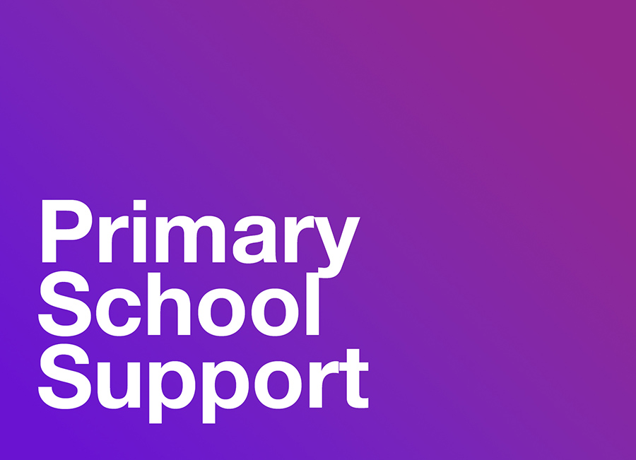 Primary School Support