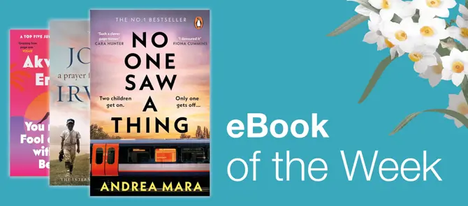 Small banner showing eBook of the Week No One Saw A Thing by Andrea Mara