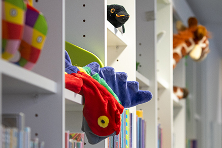 Children's books and soft toys