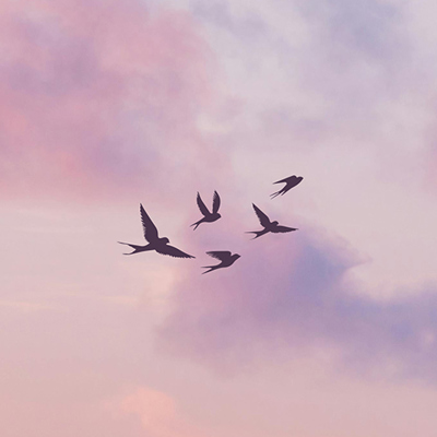 Celebrate World Environmental Day with Antrim Library and the RSPB