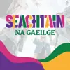 Libraries across Northern Ireland celebrate Seachtain na Gaeilge