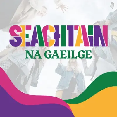 Libraries across Northern Ireland celebrate Seachtain na Gaeilge