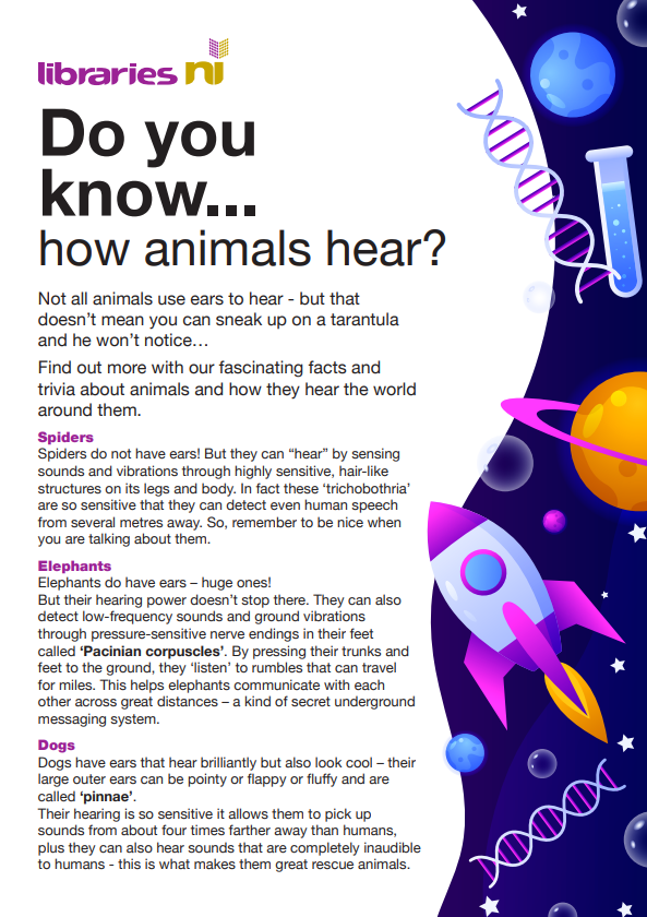 Do You Know How Animals Hear