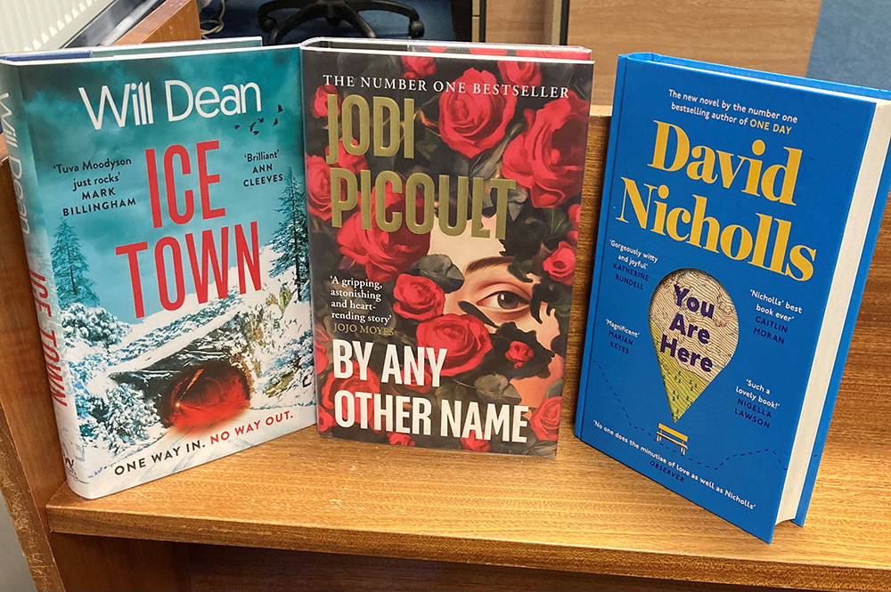 Three Books - Ice Town by Will Dean, By Any Other Name by Jodi Picoult and You Are Here by David Nicholls