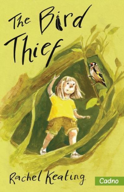 The Bird Thief By Rachel Keating Illustrations By Naomi Bennet