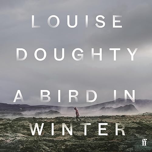 A Bird in Winter by Louise Doughty