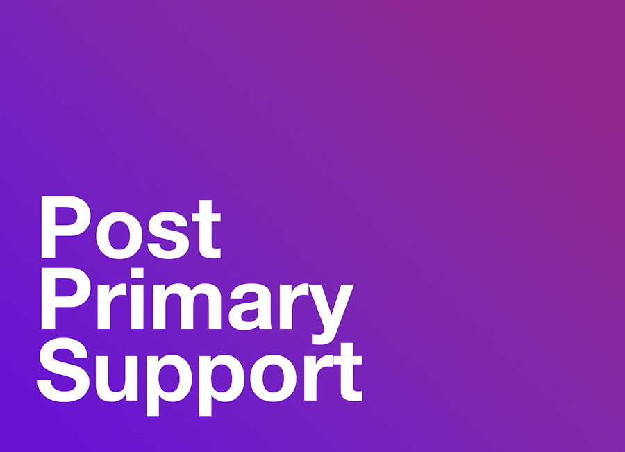 Post Primary